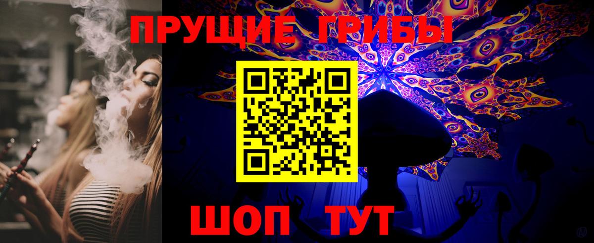 Галлюциногенные грибы Psilocybe Рыбинск