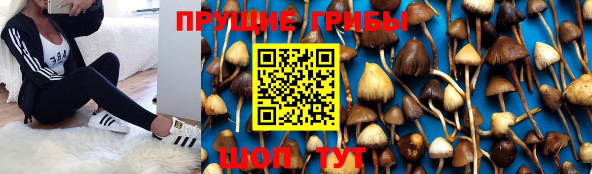 Псилоцибиновые грибы MAGIC MUSHROOMS  Вход с VPN  Рыбинск 